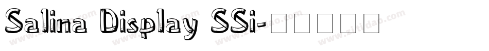 Salina Display SSi字体转换